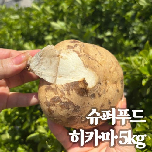 슈퍼푸드 저농약 히카마 5kg