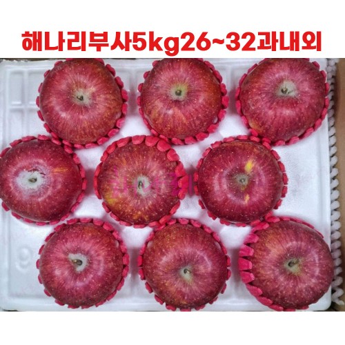 해나리부사5kg26~32과내외