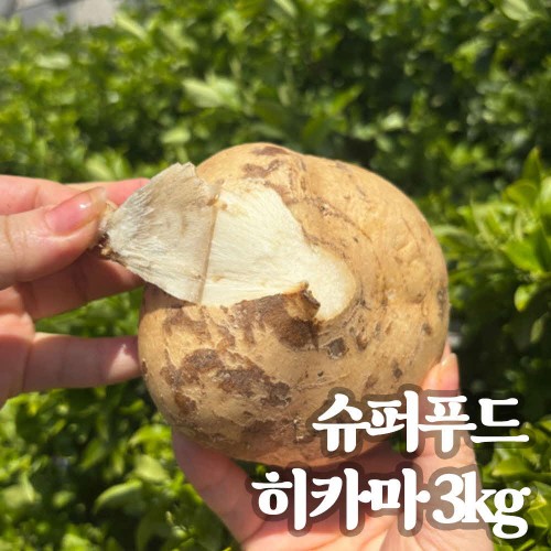 슈퍼푸드 저농약 히카마 3kg
