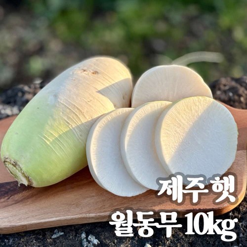 제주 햇 월동무 10kg