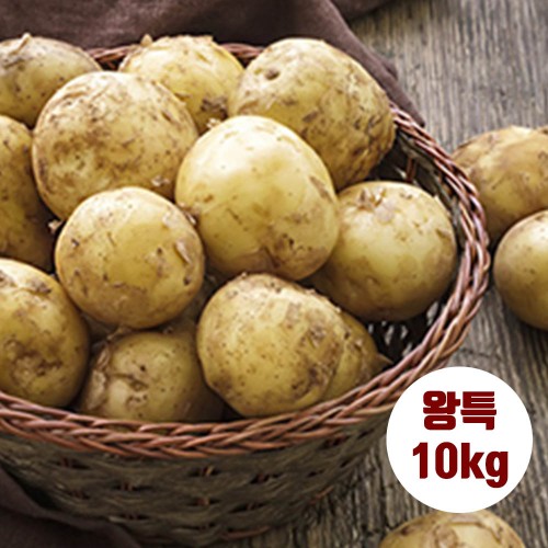 수미감자 왕특 10kg (180~280g 내외)