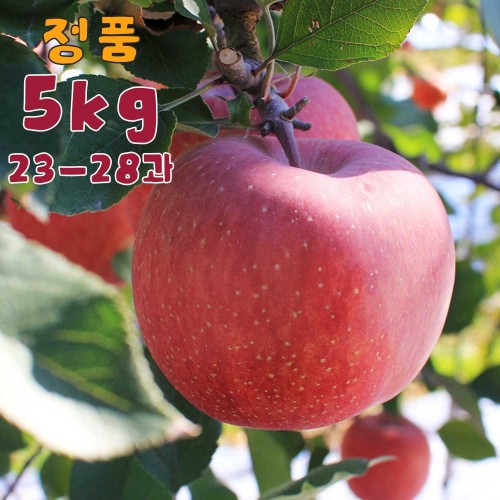 홍로 꿀사과(정품) 5kg 23-28과