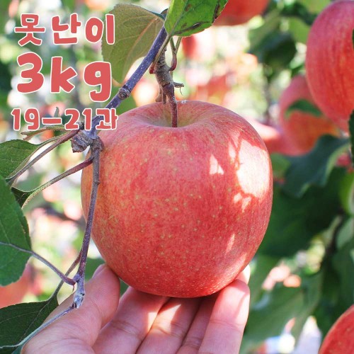 홍로 꿀사과(미색못난이) 3kg 19-21과