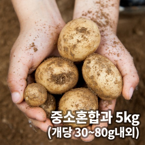 산지직송 경남 밀양 수미감자 중소혼합과 (30~80g 내외) 5kg