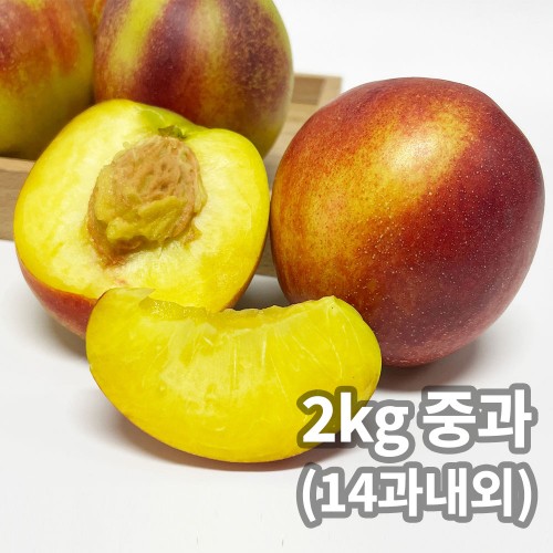 햇땅 고당도 천도복숭아 2kg 중과 (14과내외)