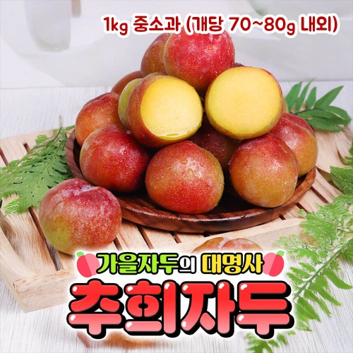 [제철과일] 옥황 추희자두 1kg 중소과 (개당 70~80g 내외)