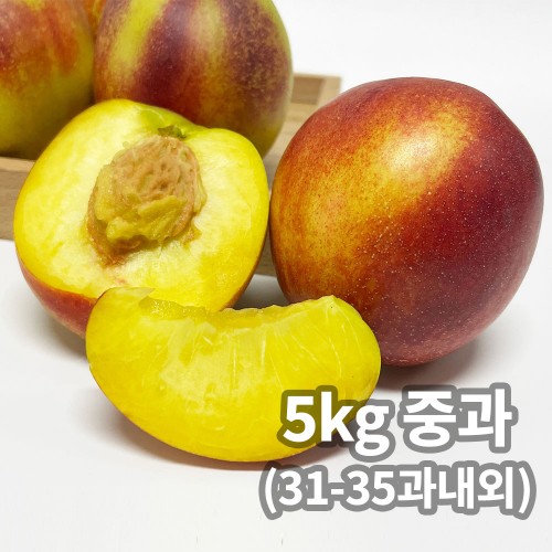 햇땅 고당도 천도복숭아 5kg 중과 (31-35과내외)
