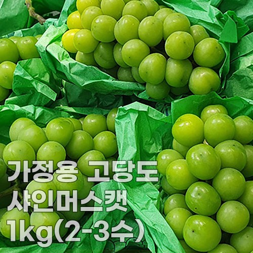 미각기행 가정용 고당도 샤인머스캣 1kg(2-3수)