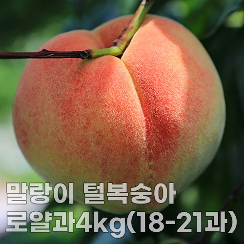 미각기행 말랑이 털복숭아 로얄과 4kg(18-21과)