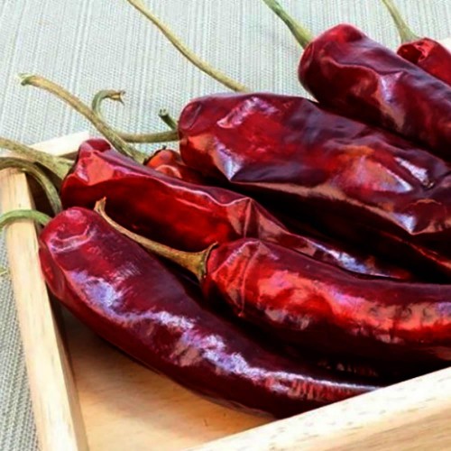 잘말려진 25년산 국산 특품 건고추 600g
