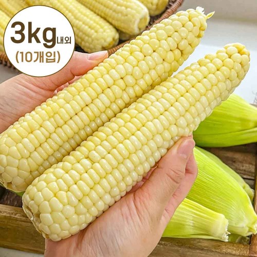 [청년농가] 급냉 백찰옥수수 3kg 내외 (10개입)