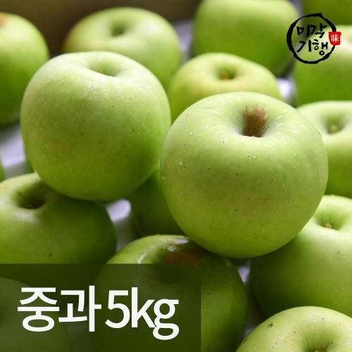 미각기행 가정용 아오리사과 중과 5kg(17-22과)