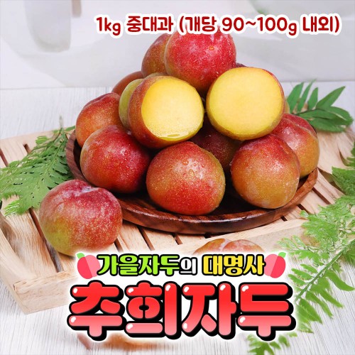 [제철과일] 옥황 추희자두 1kg 중대과 (개당 90~100g 내외)