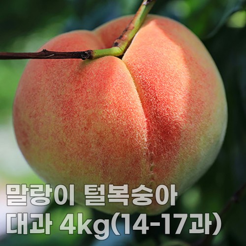 미각기행 말랑이 털복숭아 대과 4kg(14-17과)