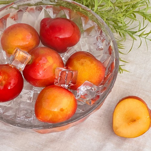 산지직송 고당도 햇자두 후무사 도담/추희 자두 소)자두 4.5kg 개당 50g내외(90과내외)