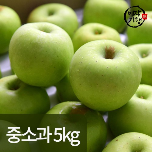 미각기행 가정용 아오리사과 중소과 5kg(23-28과)