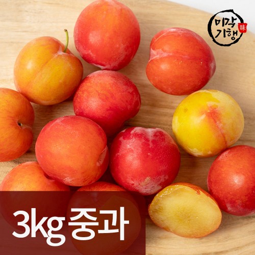 미각기행 국내산 고당도 도담/추희 자두 3kg 중과(33과 내외) 개당 90g 이상