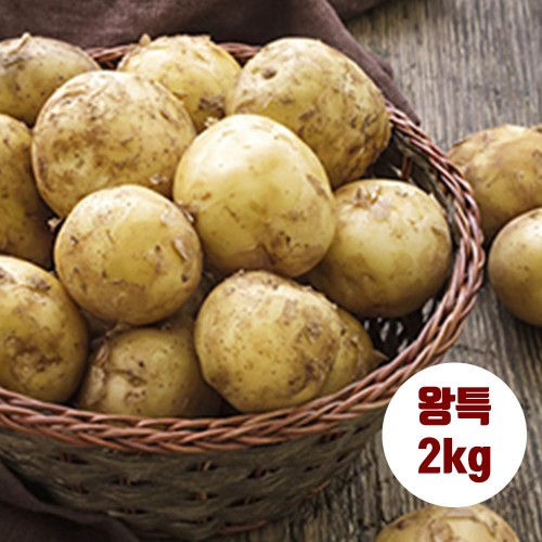 수미감자 왕특 2kg (180~280g 내외)