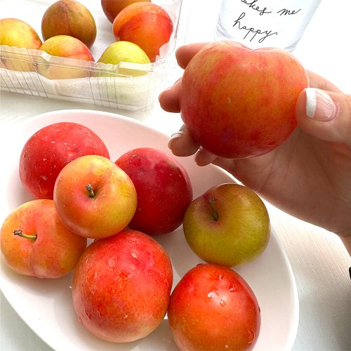산지직송 고당도 햇자두 후무사 도담/추희 자두 중)자두 4.5kg 개당 75g내외(60과내외)