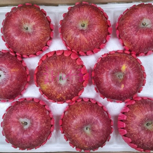 해나리부사2.5kg7~10과내외