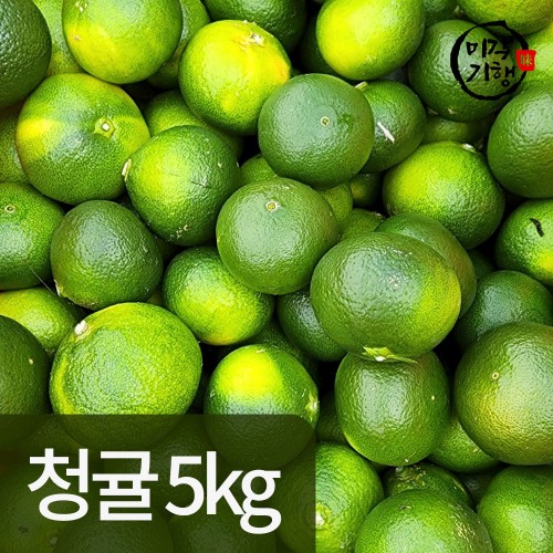 미각기행 상큼한 프리미엄 제주도 청귤 5kg