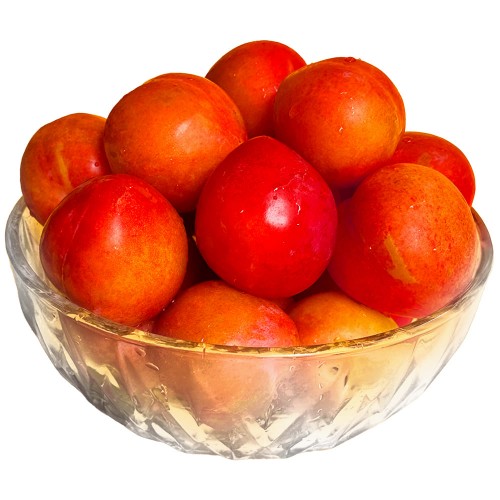 산지직송 고당도 햇자두 후무사 도담자두 소)자두 3kg 개당 50g내외(60과내외)
