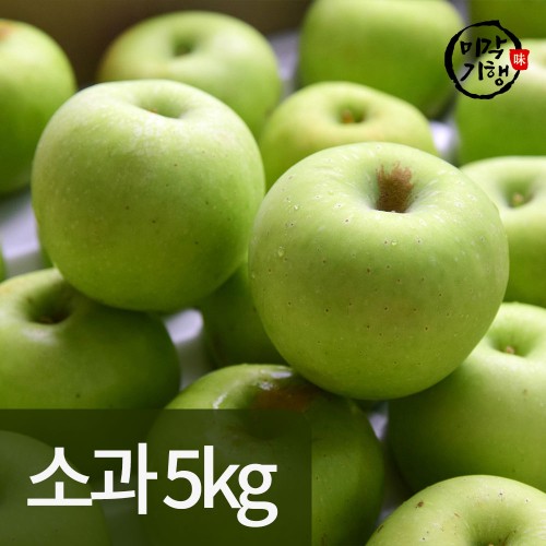 미각기행 가정용 아오리사과 소과 5kg(20-31과)
