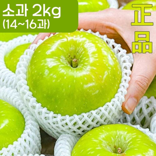[청년과수원] 제철 썸머킹(정품) 아오리사과 소과 2kg (14-16과)
