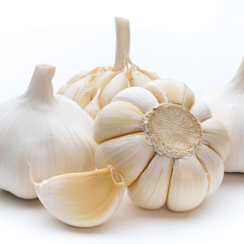 해남 햇마늘 1.2kg 내외 소 반접 (50개)