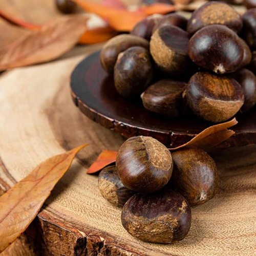 [굿파머] 프리미엄 충주밤 1kg(대)