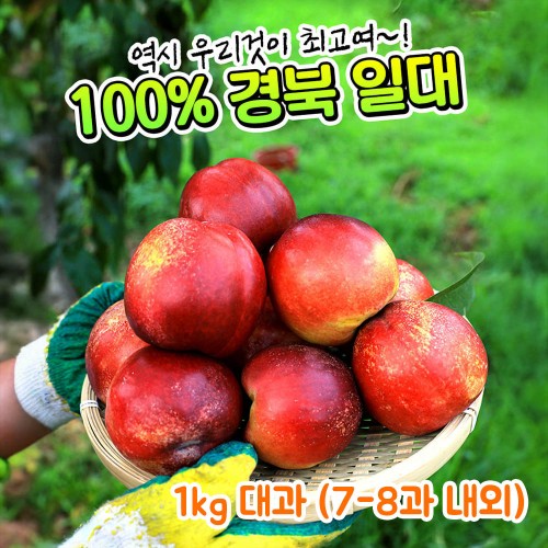 [제철과일] 옥황 판타지아 망고복숭아 1kg 대과 (7-8과 내외)