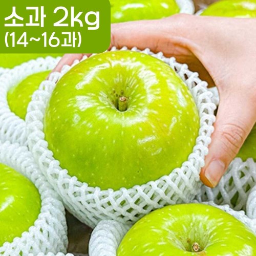 [청년과수원] 제철 썸머킹(가정용) 아오리사과 소과 2kg (14-16과)