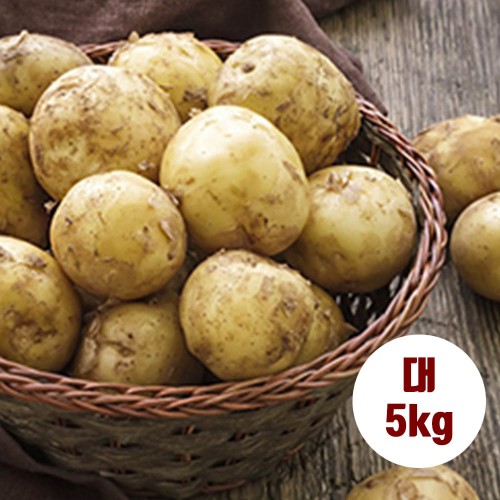 수미감자 대 5kg (90~130g 내외)