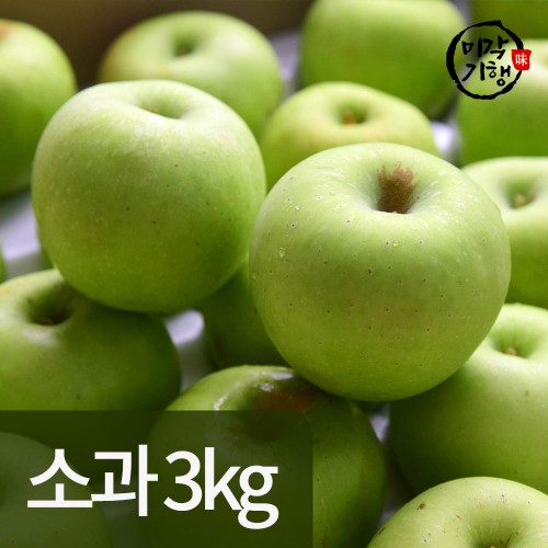 미각기행 가정용 아오리사과 소과 3kg(19-21과)