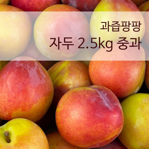 [국산과일] 입 안 가득 과즙팡팡 자두 2.5kg 중과
