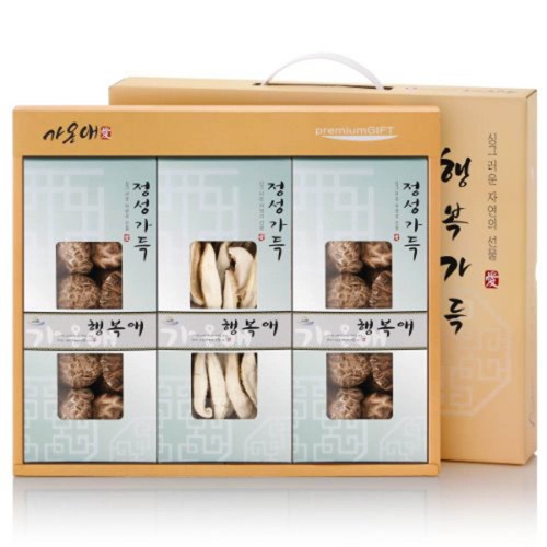 [가온애] 행복가득 버섯세트 5호