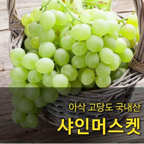 [국산과일] 청포도 여왕  샤인머스켓 2kg 2-3수