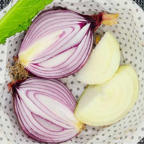 25년산 남도 흰양파 5kg(개당 20~100g)