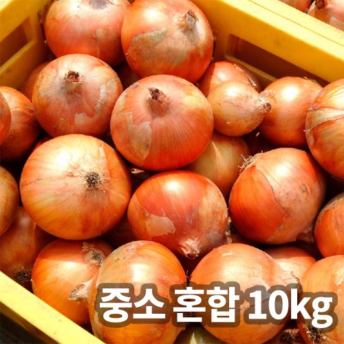 형원농장 밀양 국내산 양파 중소사이즈(60-160g) 랜덤 양파 중소 혼합 10kg