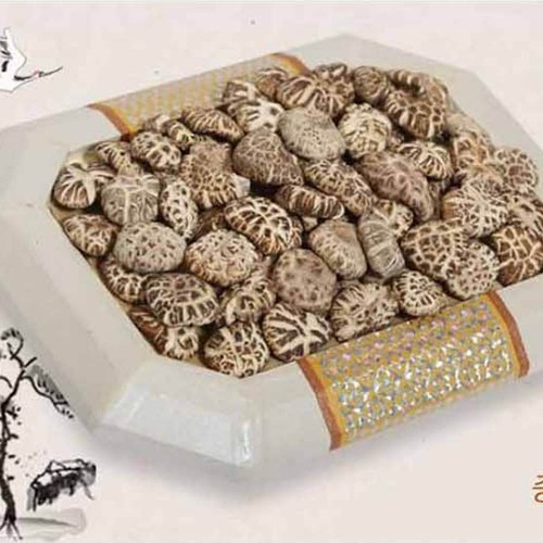 [버섯마루] 산지직송 강진 프리미엄 백화고 450g