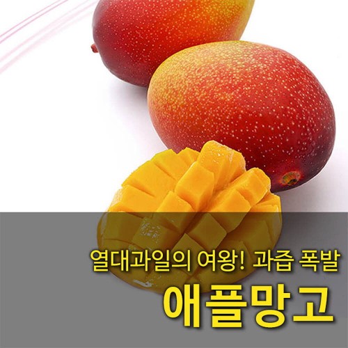 [수입과일] 당도가 높고 향이 뛰어나 맛있는 브라질산 애플망고 4-6과 2kg
