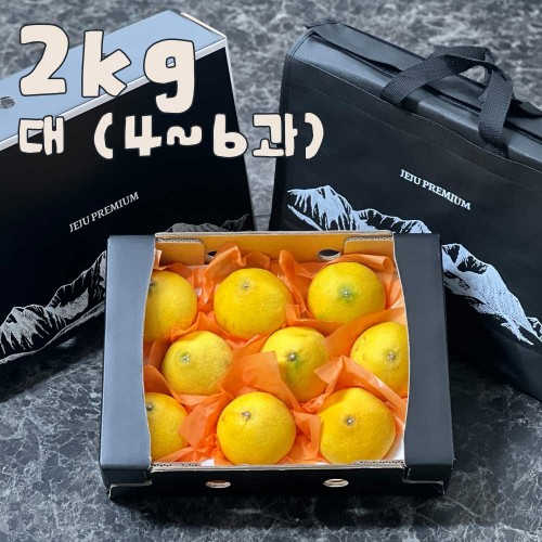 제주 프리미엄 황금향 선물세트 2kg 대 (4-6과)