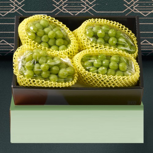 [더기다림과일] 프리미엄 고당도 샤인머스켓 선물세트 1호 3kg(4송이)