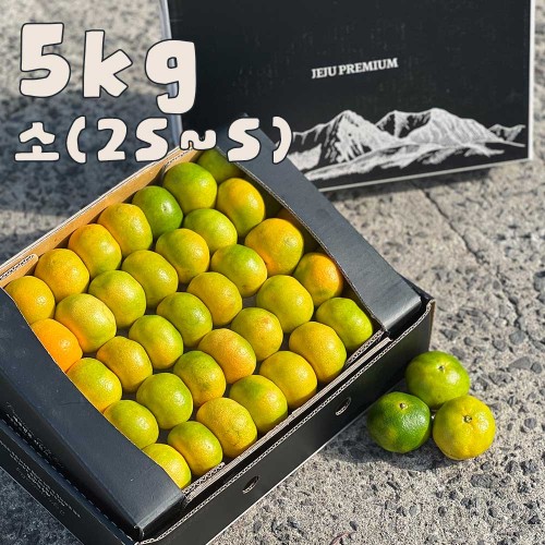제주 프리미엄 하우스 감귤 선물세트 5kg 소 (2S-S)