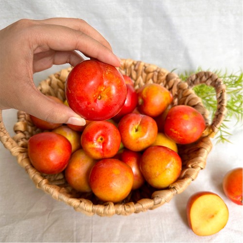 산지직송 고당도 햇자두 후무사 도담/추희 자두 대)자두 3kg 개당 100g내외(30과내외)