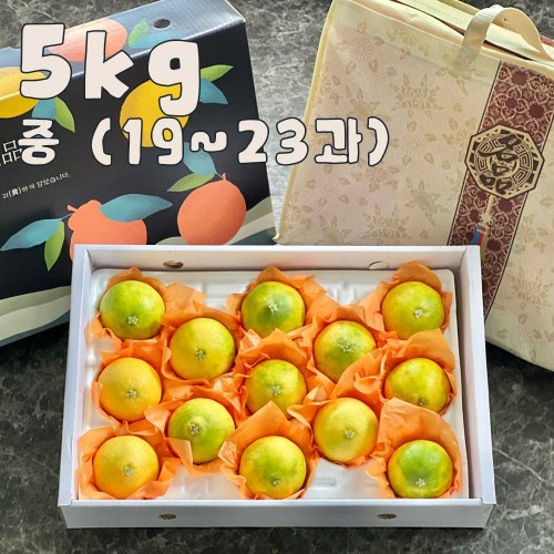 제주 프리미엄 황금향 선물세트 5kg 중 (19-23과)