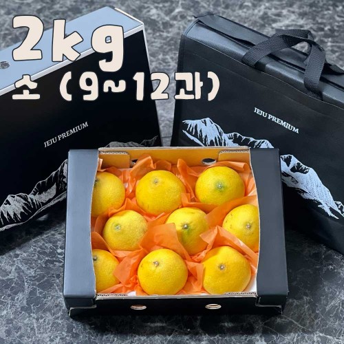 제주 프리미엄 황금향 선물세트 2kg 소 (9-12과)