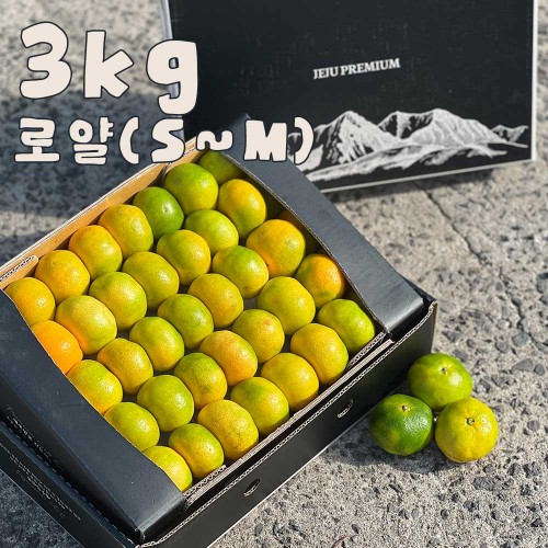 제주 프리미엄 하우스 감귤 선물세트 3kg 로얄 (S-M)