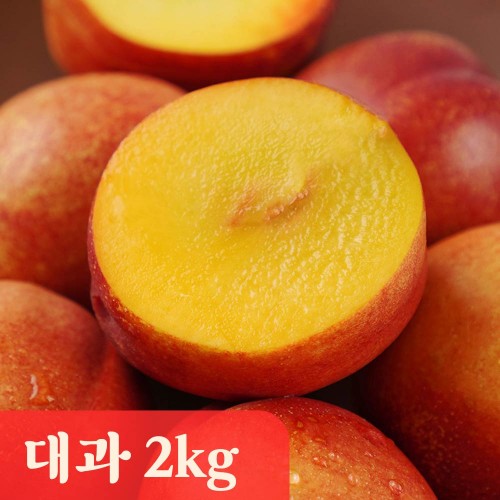 미각기행 고당도 천도복숭아 대과 2kg(14과 내외)