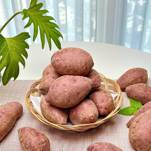 꿀고구마 대 10kg(300g이상)